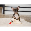 multipet MTP48375 