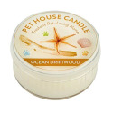 1.5-Ounce Ocean Driftwood Mini Candle
