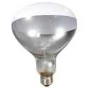 Clear 250 Watt Light Bulb