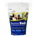 4-Pound Bounce Back Electrolyte Supplement