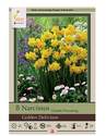 Narcissus Double Flowering Golden Delicious Flower Bulbs, 8-Pack