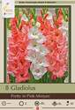 Pretty In Pink Mixture Gladiiolus, 30-Count
