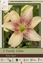 Easy Spot Hardy Lily, 2-Count 