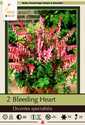 Common Bleeding Heart, 2-Pack