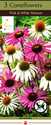 Coneflower Pink And White Mixture, 3-Pack