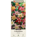 7-Count Columbine McKana Hybrids Mixture
