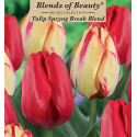 Blends of Beauty® Tulip Spryng Break Blend
