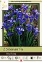 Siberian Blue King Iris, 2-Pack