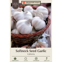 6-Count California Softneck Seed Garlic
