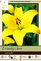Gironde Lily 2-Pack