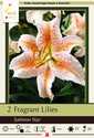 Salmon Star Lily 2-Pack