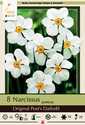 Narcissus Original Poet's Daffodil, 8-Pack
