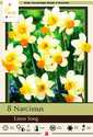 Eaton Song Specialty Narcissus 8-Pack
