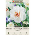 8-Bulbs Double Flowering Acropolis Narcissus