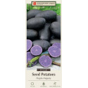 Purple Majesty Seed Potatoes, 6-Count
