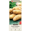 Russet Burbank Seed Potatoes