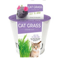 Cat Grass Grow Kit
