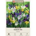 8-Count Mixed Dutch Iris