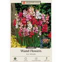 8-Count Ixia Mixture Wand Flowers