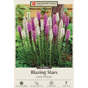 8-Count Blazing Stars Liatris Mixture