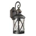 Porch Light Fixture, CFL Lamp, A19 Bulb