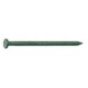 3-1/4-Inch 9-Gauge Flat Head Common Nail 5-Pound