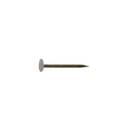 1-5/8-Inch 13-Gauge Cupped Head Drywall Nail 5-Pound