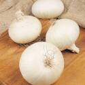 3/4-Inch White Snowball Onions, 80-Pack 