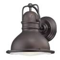 Orson One-Light LED Outdoor Wall Fixture, Oil Rubbed Bronze Finish
