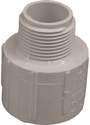1-1/4 in. Slip x 1 in. MPT PVC Reducing Adapter Fitting - Schedule 40, 1-Pack