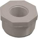 2 in. MPT x 1 in. FPT PVC Pipe Reducing Bushing - Schedule 40, 1-Pack