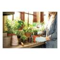 Miracle-Gro® 72776891 