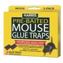Glue Mouse Trap With Lure 2-Pack