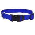 3/8-Inch X 8 To 12-Inch Blue Nylon Adjustable Dog Collar