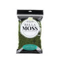 120-Cubic-Inch Bella Moss Preserved Sheet Moss     