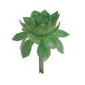 Artificial Succulent Plant      
