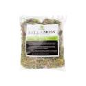 1-Qt Bag Green Moss    