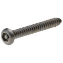 1-Inch #10 Thread Button Head Hex Socket Security Drive Stainless Steel Sheet Metal Screw  