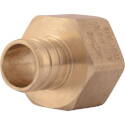 3/4-Inch Brass Barb X FNPT PEX Pipe Adapter 5-Pack