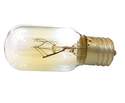 25-Watt Clear T8 Incandescent Home Appliance Light Bulb