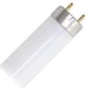 24-Inch 18-Watt Cool White T8 Linear Fluorescent Light Bulb