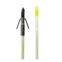 32-Inch Fiberglass 5/16-Inch Diameter White Fish Arrow   