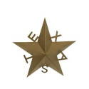 23-Inch Texas Powder-Coated Wall Accent Star