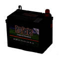Pro-Series Lawn And Garden Battery