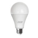 Warm White LED Light Bulb With Medium Lamp Base