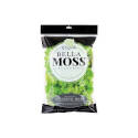 8-Ounce Chartreuse Reindeer Moss