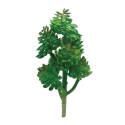 Botanical In Green 2.5-Inch X 4.5-Inch