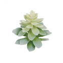 Botanical In Green 3-Inch X 3-Inch