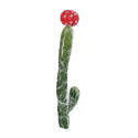 Botanical Cactus In Red/Green 1-Inch X 8-Inch