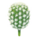 Botanical Cactus In Wht/Green 3.5-Inch